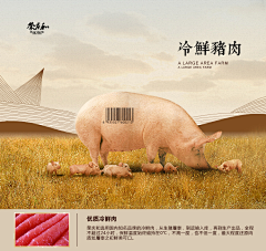 Jo_黄志采集到食品页面