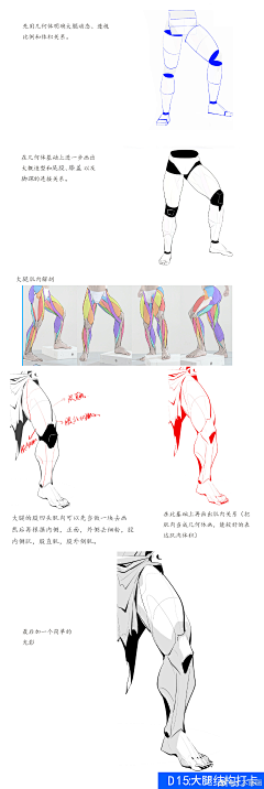 喵喵*喵采集到人体 动态 结构