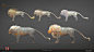 Diablo IV - The Duskwalker