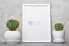小仙人掌在花盆和模型的白色框架与复制空间