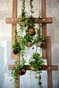 Love this Opus Studio vertical garden made form a bunch of hanging gardens!: 