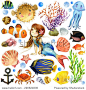 exotic Fish, coral reef, algae, unusual sea fauna, sea shells, anemones and decoration marine theme. underwater world set. watercolor illustration for children