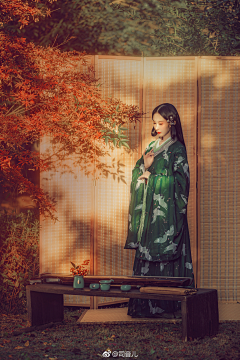 醒醒大人采集到和风