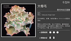 【一人一世界】采集到多肉植物标签