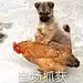痣勇双全