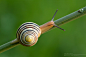 Photograph The Fibonacci sequence by Marco Milanesi on 500px