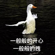 Crush丶采集到表情包