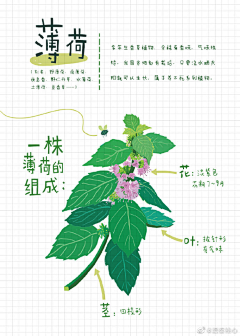 亚静亚静采集到花花草草和树木