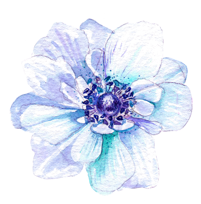 花PNG