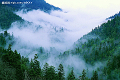 青柠微凉LAY采集到世间美景