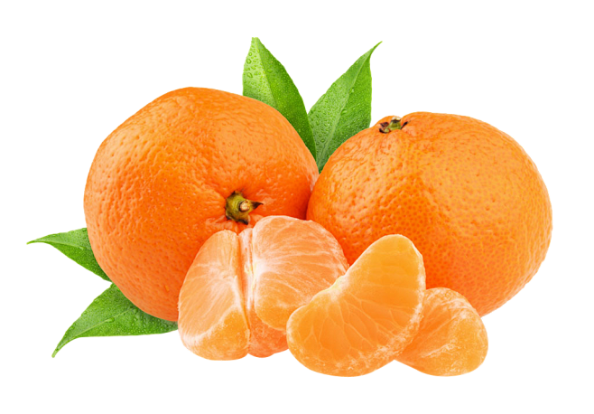 橘子png素材免扣透明