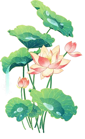 荷花丛