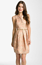 Eliza J Belted Cotton Jacquard Tulip Dress | Nordstrom