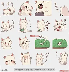 line贴图表情包皱眉猫|frown cat 额头皱纹|Wrinkle on the foreheadnn@飞天胖虎