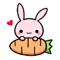 "Lapi" is a mischievous bunny. Being delightful, feeling sad, she is very busy. She has full of cute expression, hope you enjoy chatting with your friends!