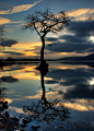 反映在湖-苏格兰
Reflection in the Loch - Scotland