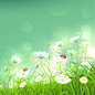彩绘太阳菊插画矢量素材，素材格式：AI，素材关键词：春天,草地,矢量植物,太阳菊