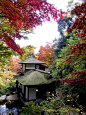 Sankeien Garden #japan #kanagawa #yokohama