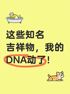 火龙果加奇异果采集到SH+之后