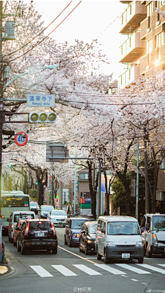 琮生采集到风景