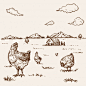 手绘母鸡和农场背景插画矢量图素材