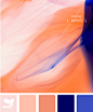 ColorSwirl、色卡、配色、design-seeds
