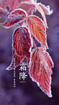 霜降