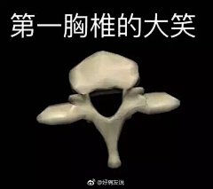 医学生专用表情包