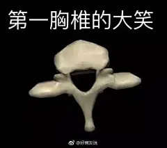 医学生专用表情包