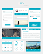 UI Kit-iCesun