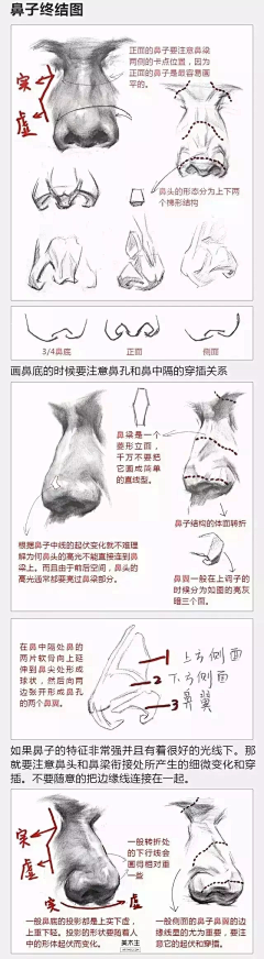 辰十七采集到五官