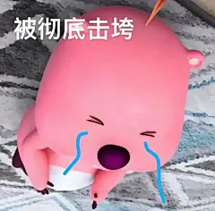 这两天什么表情包最火？Loopy小海狸表情包｜磨金石教育分享