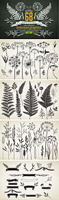 Botanical element illustrations... *IDEA* try printing to give a sense of surroundings? or layering in lively scrapbook format?