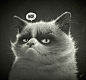 Grumpy I. : This is digital painting by Dr. L. Brezak based on most beloved character of "Grumpy Cat".