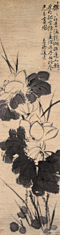 33581051_43 (1)青藤特长于水墨大写意花卉，工画残菊败荷，古朴淡雅，别有风致。他的作品不拘于物象，能抓住其神气，用秃笔铺张，势如急风骤雨。他的大写意泼墨之势，笔简意浓，形象生动，影响深远，开启了明清以来水墨写意法的新途径。在四百年后的今天，仍给人以笔墨淋漓，赏心悦目之感。清代的朱耷、石涛、郑燮、李
鱓、李方膺、高凤翰以至近现代的吴昌硕、齐白石等，都继承和进一步发扬了他的笔墨传统，形成声势浩大的大写意花鸟流派，雄踞画坛数百年而不衰。 
43、宋 赵佶《听琴图》