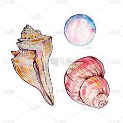 水彩画海贝壳手绘插图设计和印刷