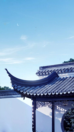 Summertiantian521采集到图片