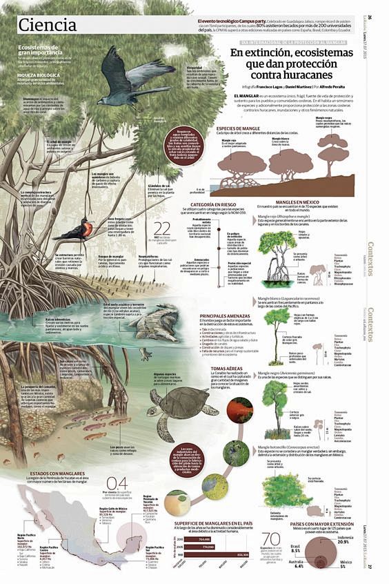 In extinction, ecosy...