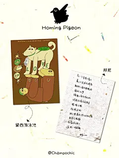 你多久没有给思念的人写一封信｜互动福利 - 小红书
