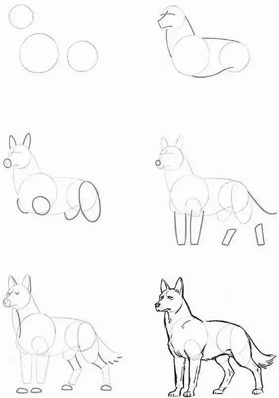 狼的画法