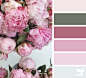 { peony palette } image via: @fairynuffflowers: 