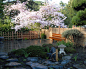 Inspiration for an asian backyard landscape in San Francisco.