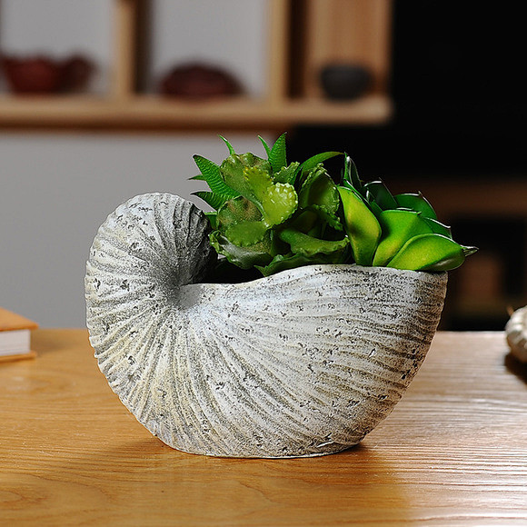 陶瓷制成的海螺造型花盆，与清净的环境相映...