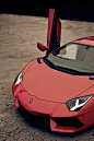 Lamborghini Aventador #跑车#----董子桐花瓣采集