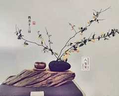 zeusin采集到案头·物件