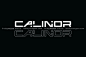 极简未来科幻游戏电竞科技品牌logo海报英文字体Calinor Pegasus下载_颜格视觉