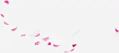 紫色唯美手绘漂浮花瓣