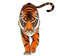 猛虎老虎卡通插画素材