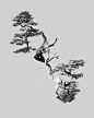 chris_hornbecker_bonsai_diptych_2