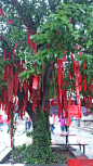 许愿树,hourui